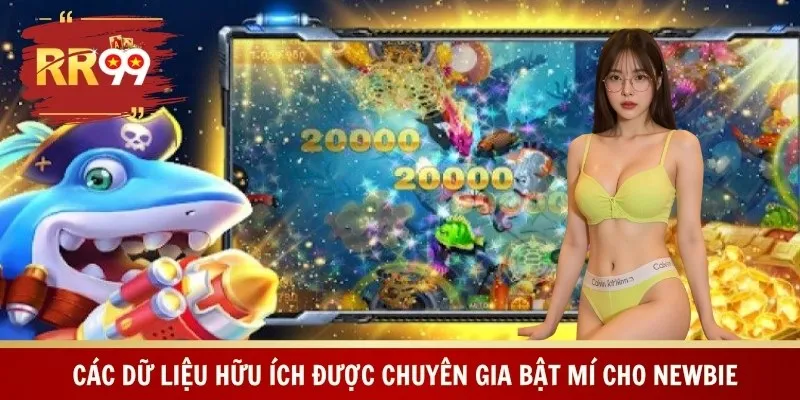 Các dữ liệu hữu ích được chuyên gia bật mí cho newbie