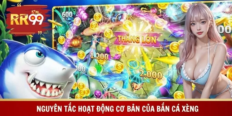 Nguyên tắc hoạt động cơ bản của bắn cá xèng